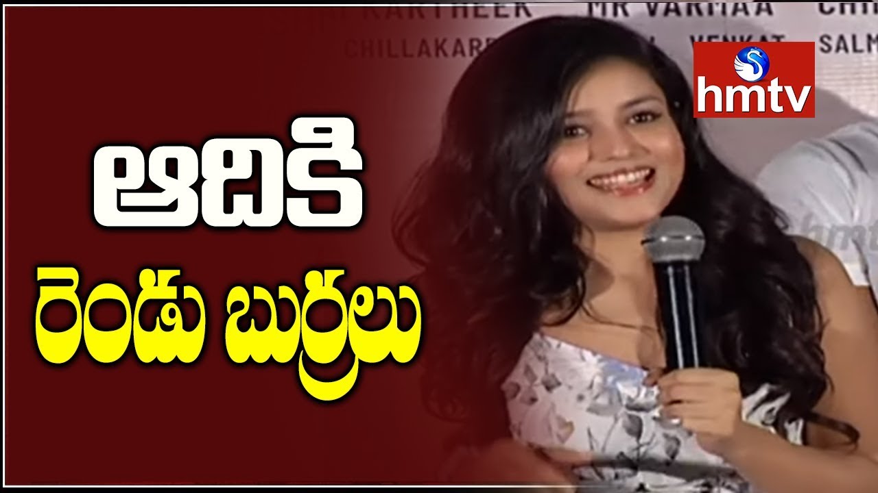 Actress Mishti Chakraborty Speech At Burrakatha Movie Teaser Launch | hmtv