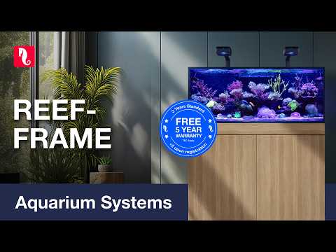 The stylish REEF-FRAME
