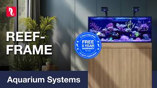 Download lagu The stylish REEF-FRAME