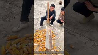 Manual Corn Shelling Hand Threshing Method Simple Corn Thresher Tool Easy Way To Remove Kernels