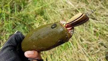 Trải nghiệm câu cá lóc ở ao hoang bằng mồi nhảy lucky