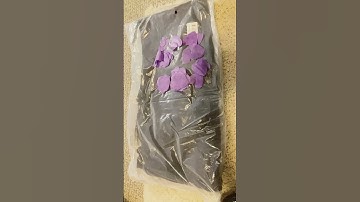 MY SPEAK NOW CARDIGAN FINNALLY CAME!!!!💜💜💜💜#speaknowtv #taylorswift #motherismothering #shorts