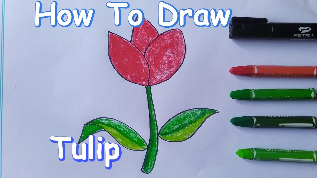 How To Draw A Tulip | Draw Cartoon Tulip Flower | Easy Drawing Lesson | Masym Arts Studio | Plants