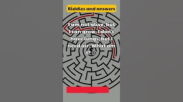 Crack the Code: Riddles and Answers for Ultimate Brain Teasers!