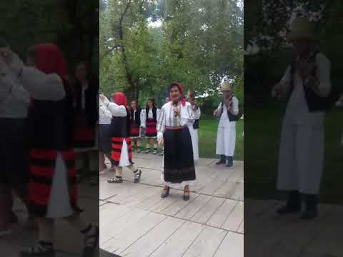 Buna ziua dragi sateni
