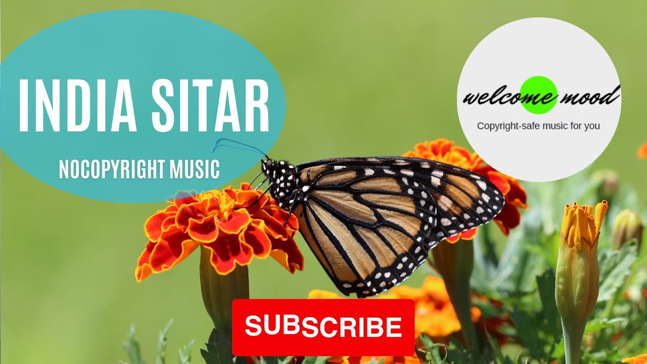 Indian Sitar।। Copyright Free Music ।। Royalty Free Loops