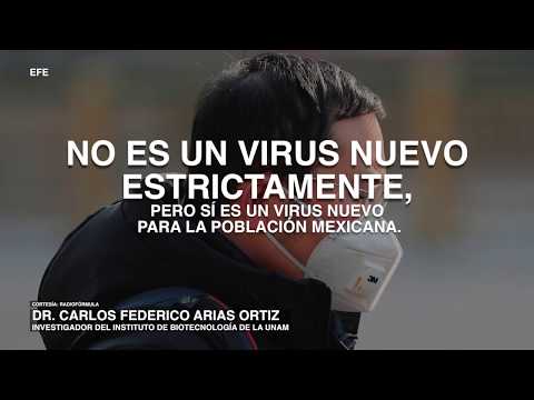 Los síntomas y atención del coronavirus son similares a los de la influenza, aseguró Carlos Arias