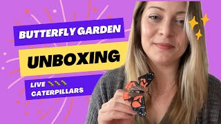 Giant Butterfly Garden Unboxing with live Caterpillars!
