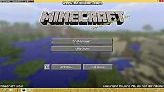Minecraft Survival - Gay Skin