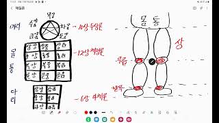 체질론 03