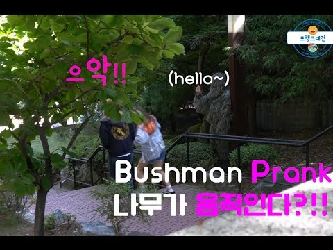 bushman-prank-in-korea-version-1