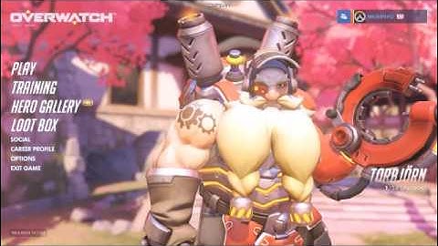 Overwatch: Graphics Tutorial (Fix Blurry Image & Lag)