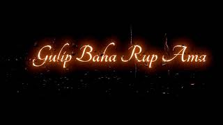 Gulip Baha Rup Ama Hi Bagan tala Re//New santali black screen status video//New santali WhatsApp 🥰🥰🥰