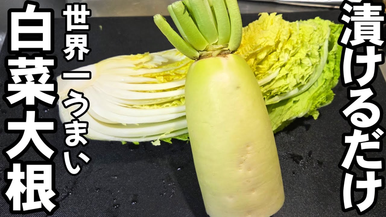 白菜と大根はすべてこれにしろ！切って漬けるだけ！簡単 ご飯泥棒 無限ヤバい漬け おつまみ 作り置き常識菜 副菜 漬物 浅漬け 節約レシピ 大量消費