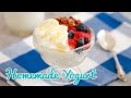 How to Make Yogurt - Gemma's Bold Baking Basics Ep 20
