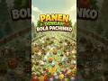 Aku pantulkan bola pachinko demi hasil panen! - Pachinko Farm Demo Gameplay