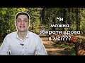 Чи можна збирати дрова в лісі? Який штраф?