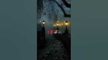سورة الذاريات بصوت القارئ محمد صديق المنشاوي