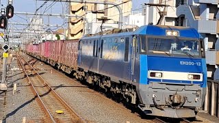 JR貨物EH200形EH200-12牽引コンテナ貨物列車国立駅通過(2023/5/16)