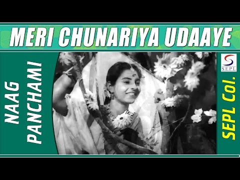 Meri Chunariya Udaaye Liye Jaaye - మేరీ చునారియా ఉడాఏ లిఏ జాయే Music Video Thumbnail in Telugu