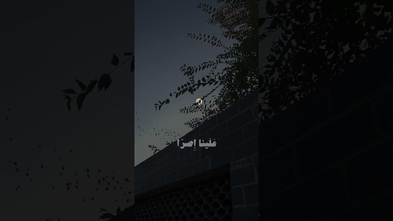 تلاوة خاشعة من سورة البقرة للقارئ علي جابر🤍