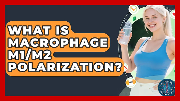 What Is Macrophage M1/M2 Polarization? - All About the Immune System