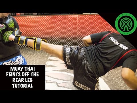 Muay Thai Feints off the Rear leg Tutorial