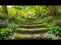 Restores The Nervous System | Gentle, relaxing music helps calm the mind, reduce anxiety