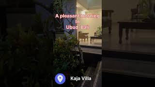 Morning view @Kaja Villa || Kaja Villa || Ubud || Bali #shorts #morningview #morningvibes