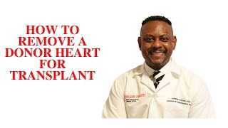 How To Remove A Donor Heart For Transplant