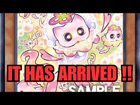 You Knew This Was Coming... (the Next Mulcharmmy)