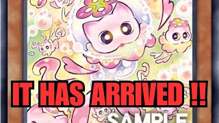 You Knew This Was Coming... (the Next Mulcharmmy)