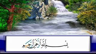 الربع     234/الشيخ محمد جبريل /سورة عبس وسورة التكوير