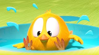 Where's Chicky? Funny Chicky 2023 | Water Play | Cartoon In English For Kids | New Episodes