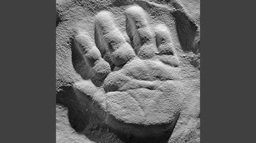 Thumbnail of Handens Fem Fingrar (feat. Lennart Wadén)