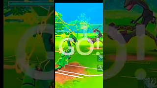 ✨ SHINY RAQUAZA V/S MEGA RAQUAZA PvP form battle #pokemongo