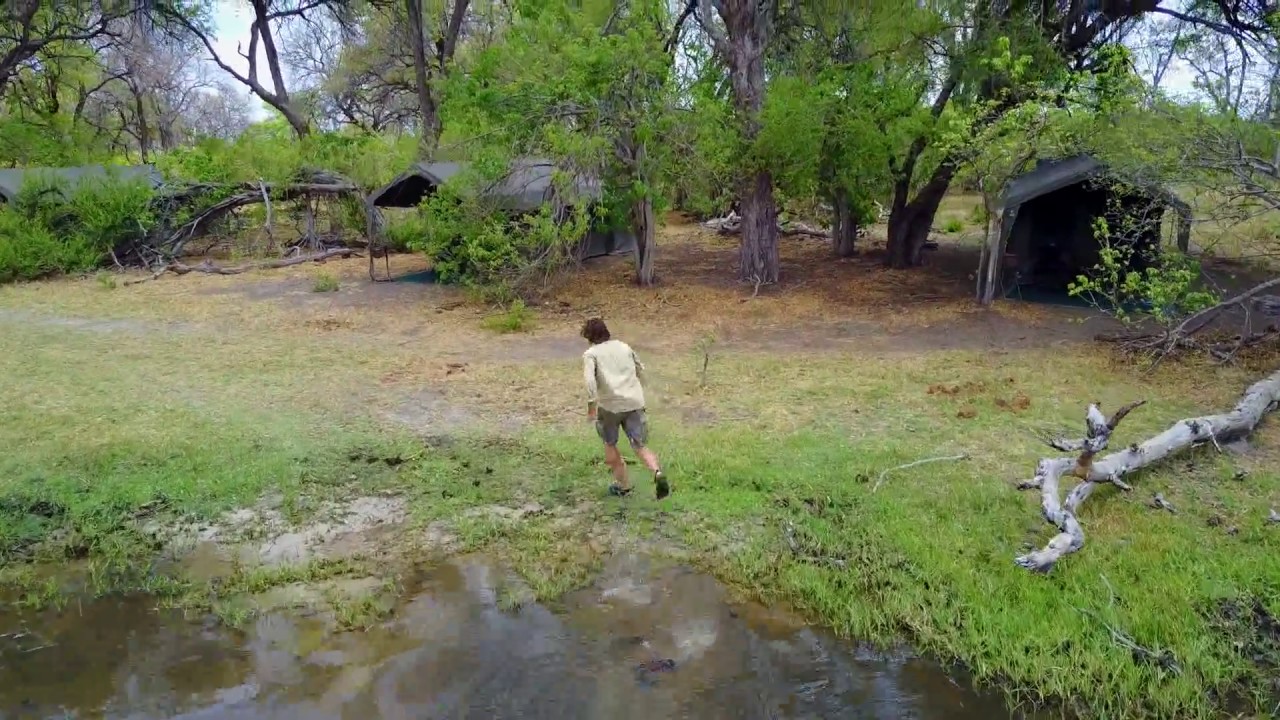 Lost in Bots with Caspar