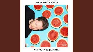 Without You (VIP Mix)