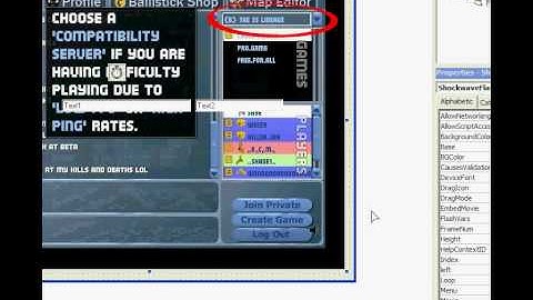 How to display a Variable in Visual Basic 6