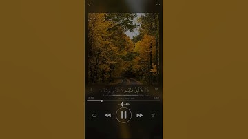 قران كريم بصوت الشيخ خالد الجليل #quran #اكسبلور