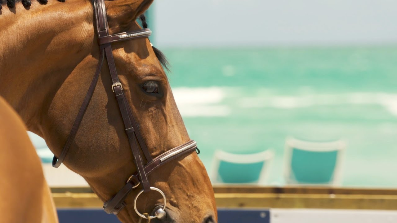 Behind the scenes at LGCT Miami Beach