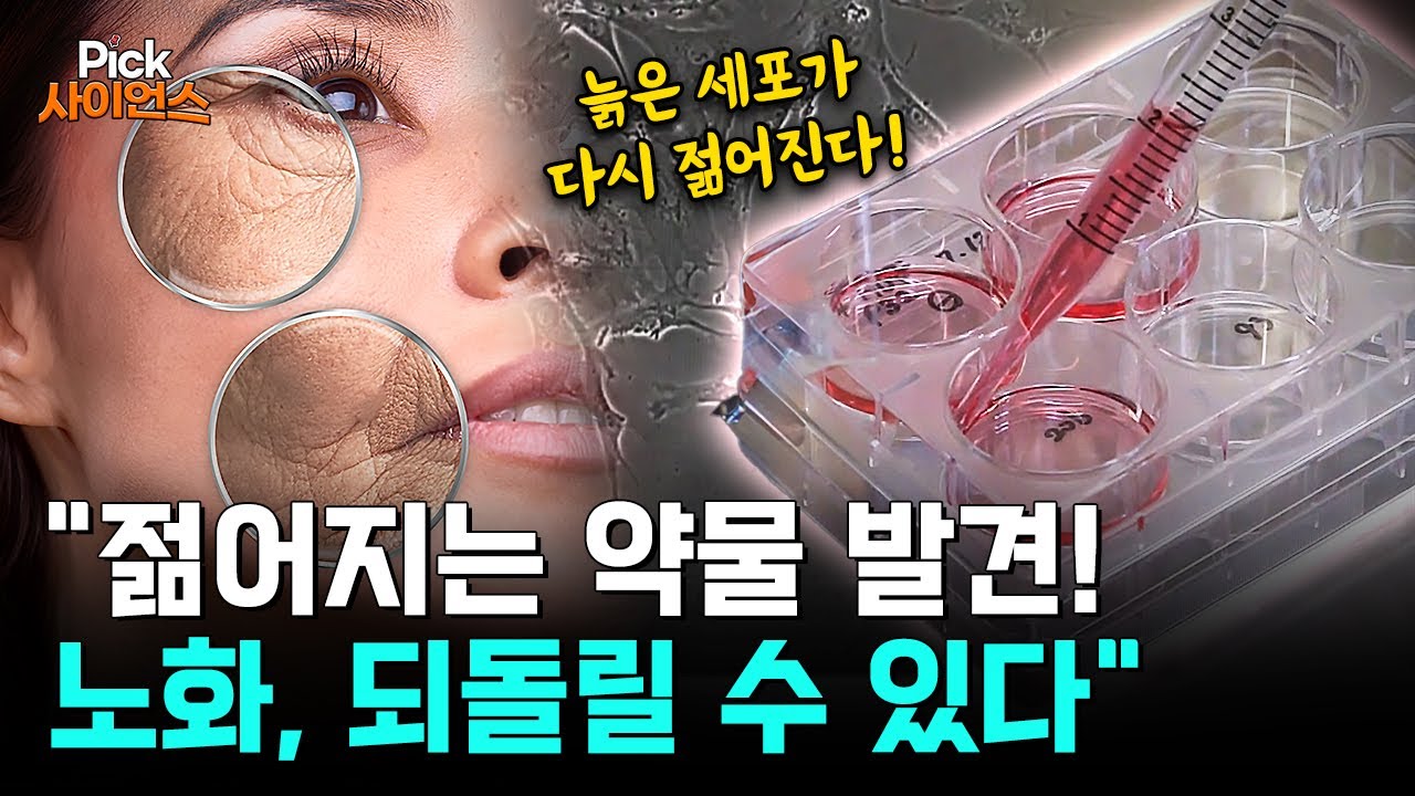 [Pick 사이언스] “과학계 발칵” 한국 연구진, 노화 되돌리는 ‘새로운 물질’ 발견! 인류의 오랜 꿈, 노화 극복, 장수의 비밀을 밝히다