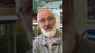Shrimp breeding hobby in retirement. ￼ Hobby overview #inspiredretirement #fishing #retirementlife ￼