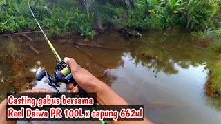 Sambaran halus sang penghuni rawa|| Daiwa PR 100L ||ultralingh fishing