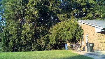 Piro Rate Challenge (As seen on  HeliFreak)