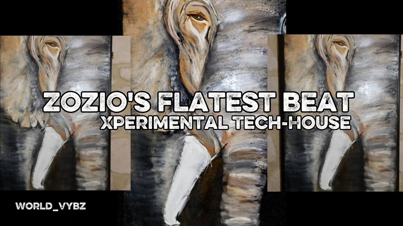 Zozio's flatest beat                 Xperimental Tech-House Remix 