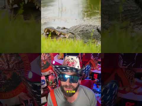 Florida Man’s disturbing hobbies include alligators and narcotics