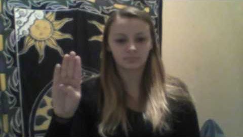 Rachel VanEvera-ASL Video Lab #1