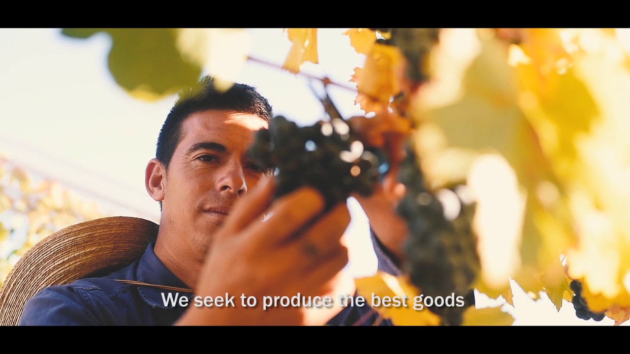 Introducing Pannunzio winery from Mendoza, Argentina