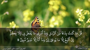 الصفحة 503 سورة الأحقاف بصوت القارئ المهندس أحمد فايز الحراسيس